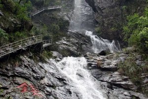 8.29【住進 “外婆家” 的夏天】| 來“浙”里源頭承包你的夏日快樂錢江源、九溪龍門休閑避暑康養5日