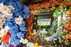 靈棲洞、新晉網紅打卡點【綠野仙蹤、莫奈花園】一日游