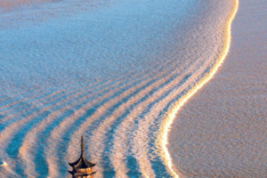 聽潮·嚼月，錢塘江觀潮 純玩二日游