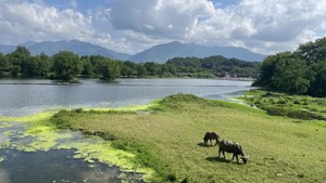 【浙西南三城聯動】仙縣遂昌、田園松陽、劍瓷龍泉三日游