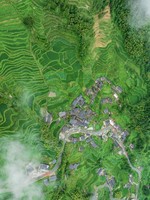 3月29日最后一期特价含餐，邂逅江南秘境、遇见烟雨江南，云和梯田长汀沙滩一日