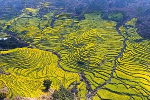 【相聚篁岭】 弦高古城·篁岭赏花·花牵谷·2日游