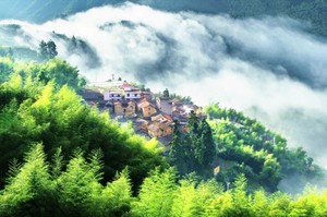 4.25（周六）含餐，老毕带队【解锁江南最后的秘境】松阳“小峨眉”双童山•网红陈家铺一日游