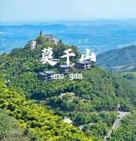 【至尊康养天花板•深度畅享】莫干山+VIP通道直接上山+核心景区住宿3晚连住+含3早6正餐+赠送莫干山门票+景交纯玩四日