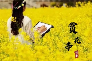 3.18非周末，賞下涯萬畝油菜花海、摘草莓、愛旅拍又愛吃的小伙伴趕緊約起來哦