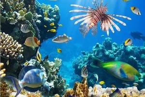 7.16已成團(tuán)，杭州長喬極地海洋公園親子游，行者帶您溫馨歡樂出行