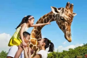 【亲子嗨翻天】杭州野生动物园一日游