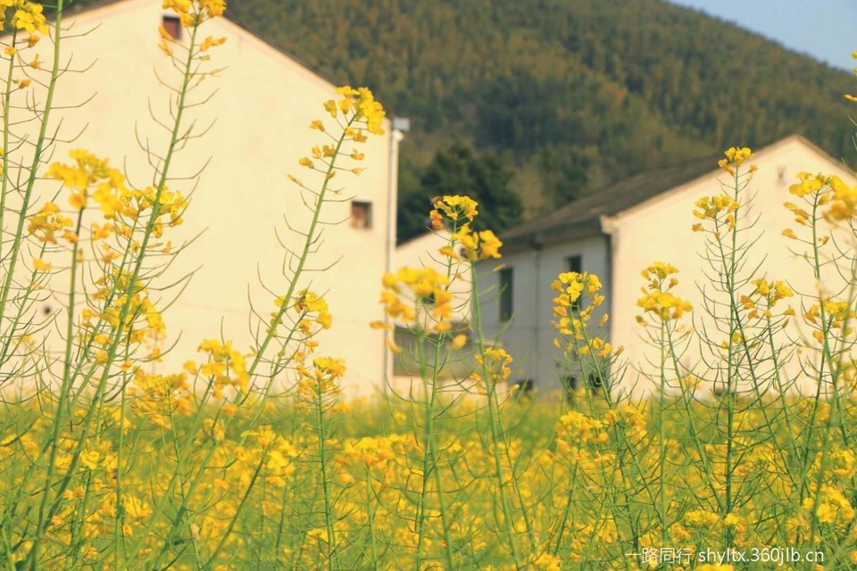 mmexport1584873255462