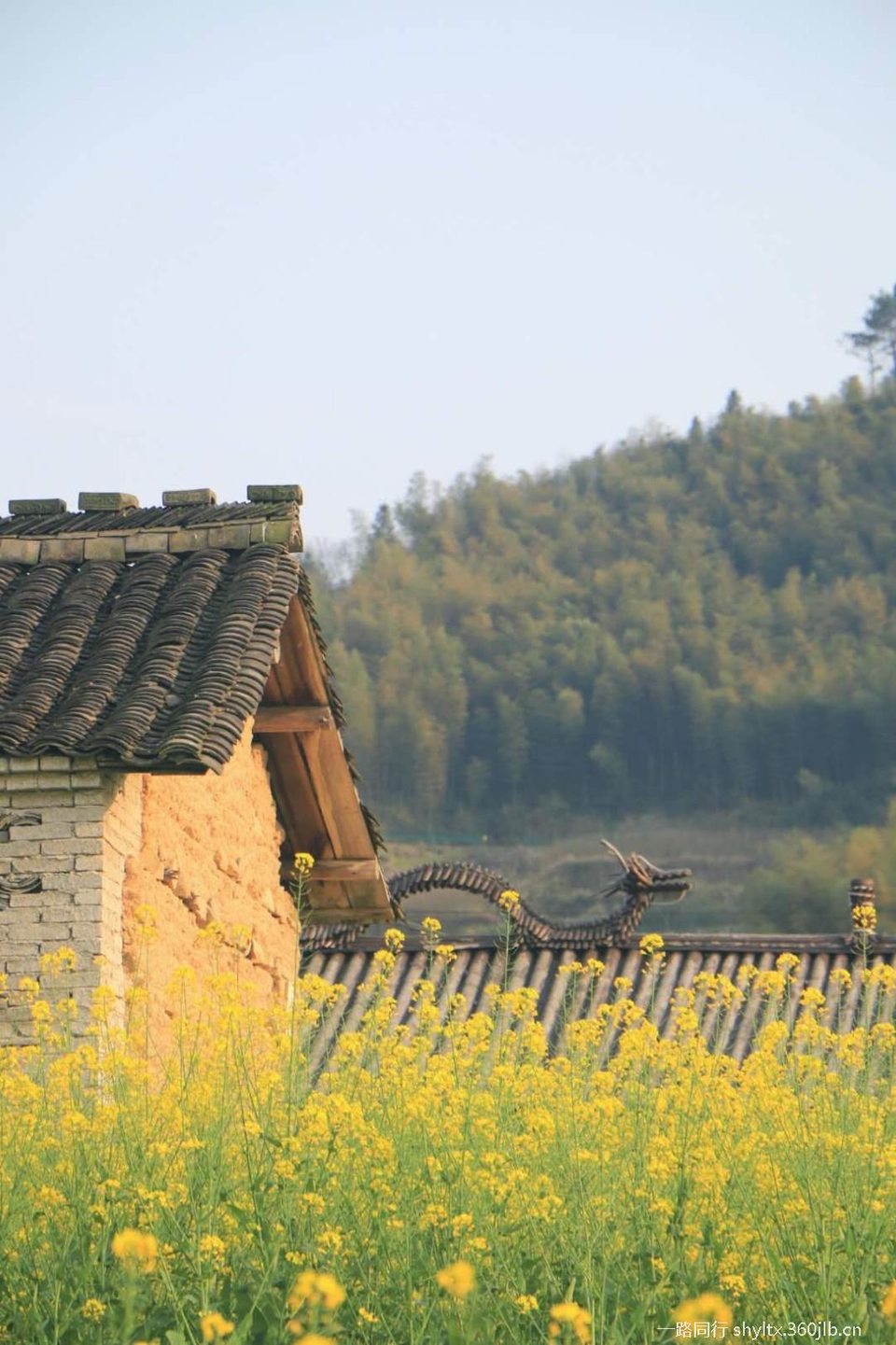 mmexport1584873252673