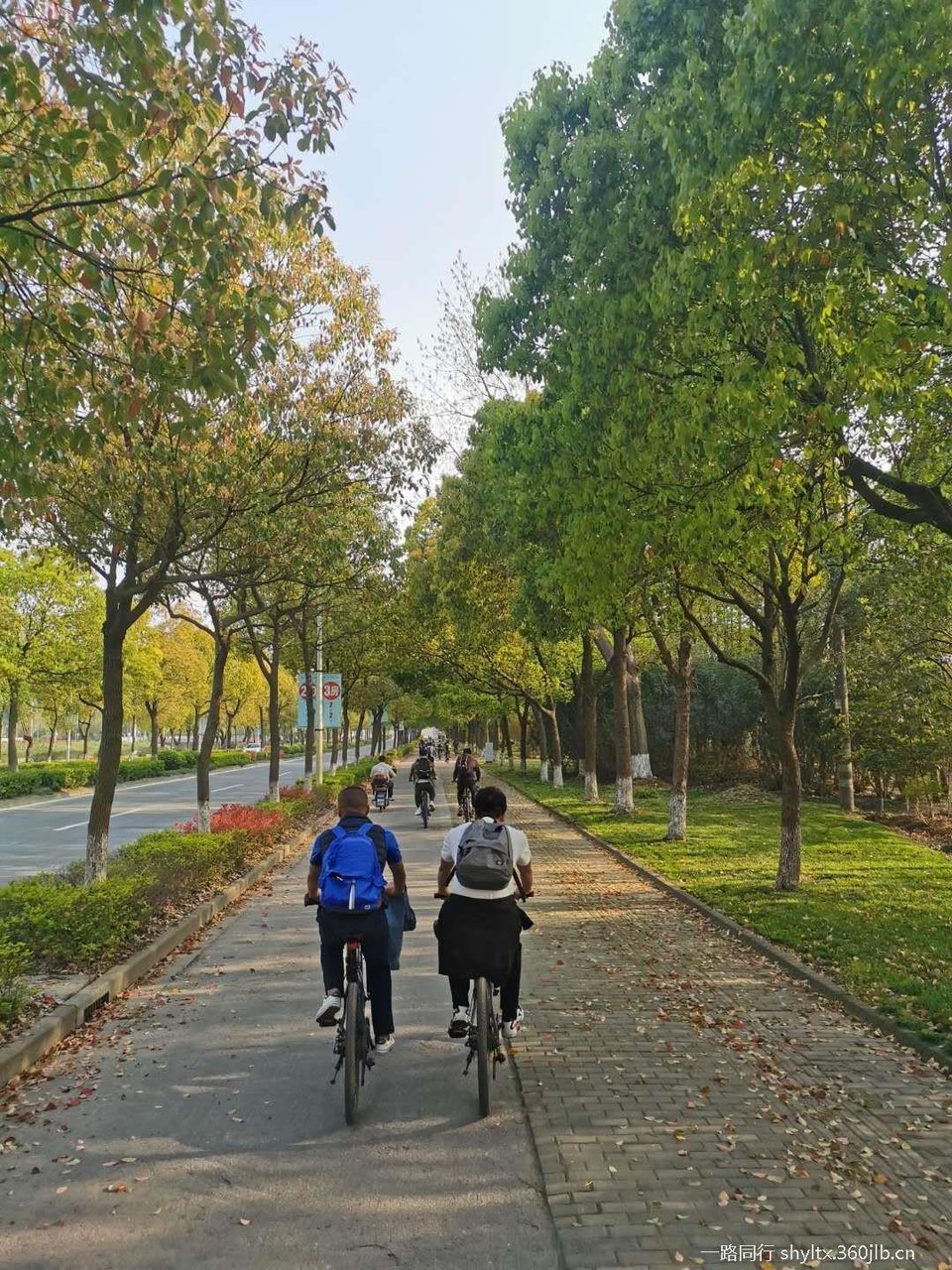 mmexport1585996272320