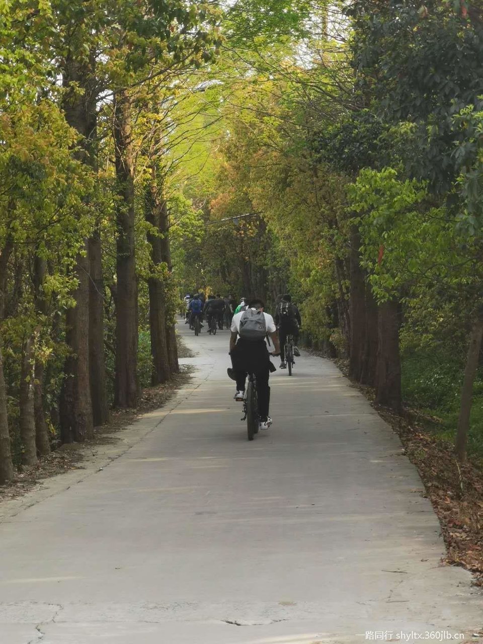 mmexport1585996280543