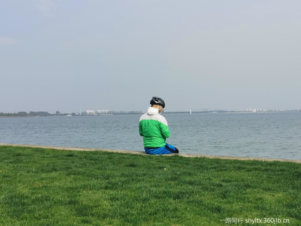 mmexport1585991374016