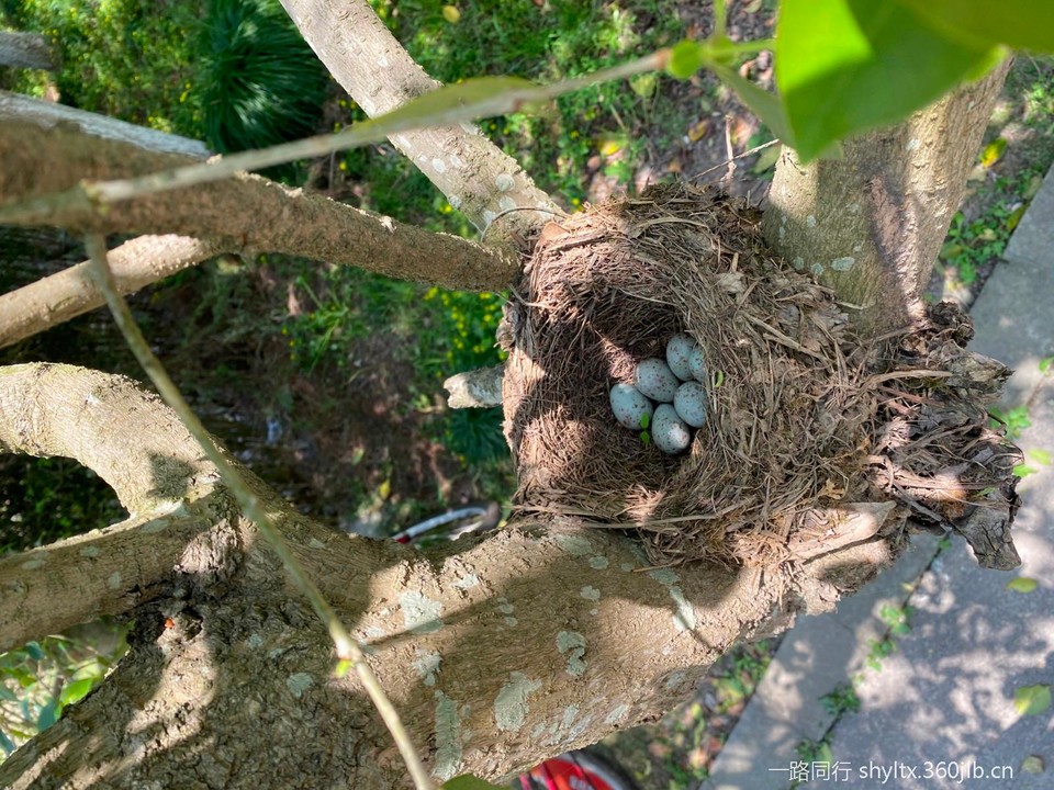 mmexport1587870143715