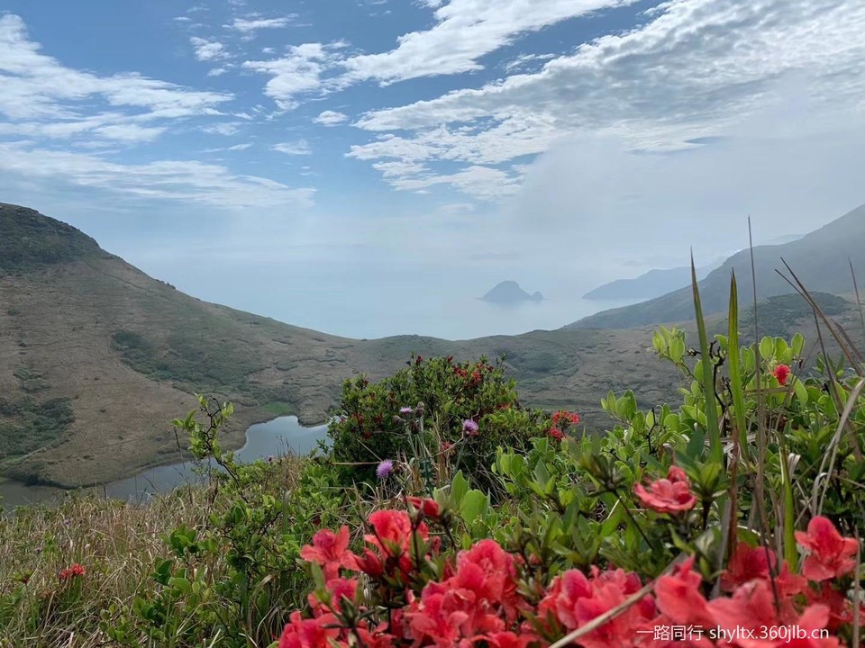 mmexport1588550713620