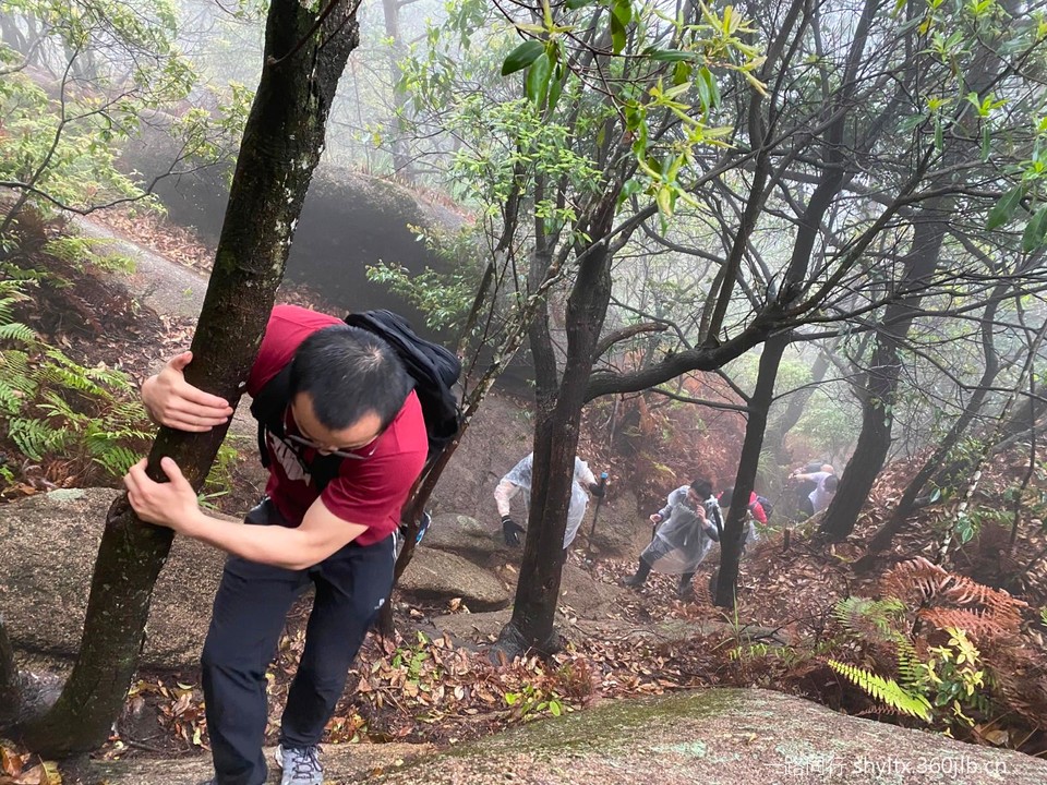 mmexport1588460025925