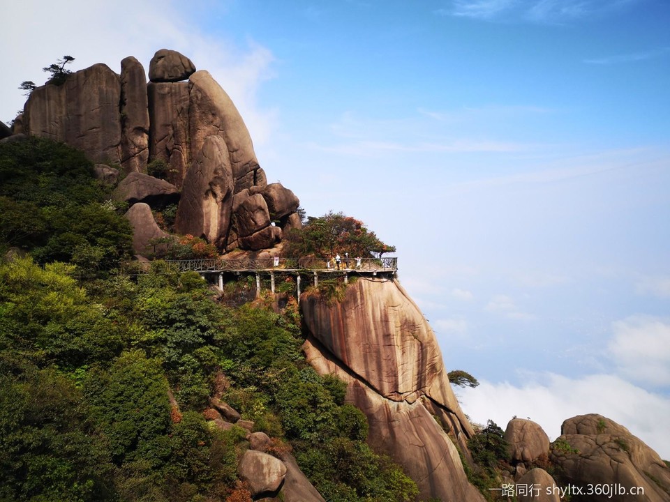 mmexport1588459984653