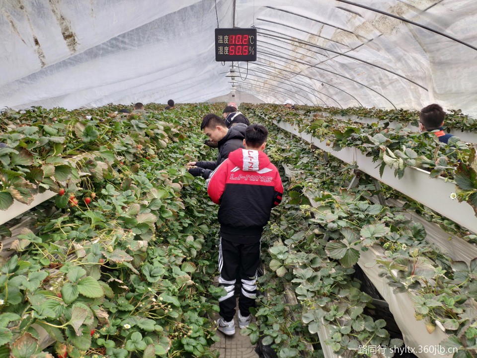 微信图片_20210126202813