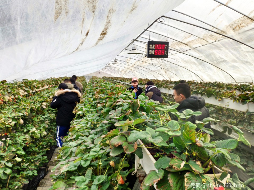 微信图片_20210126202820