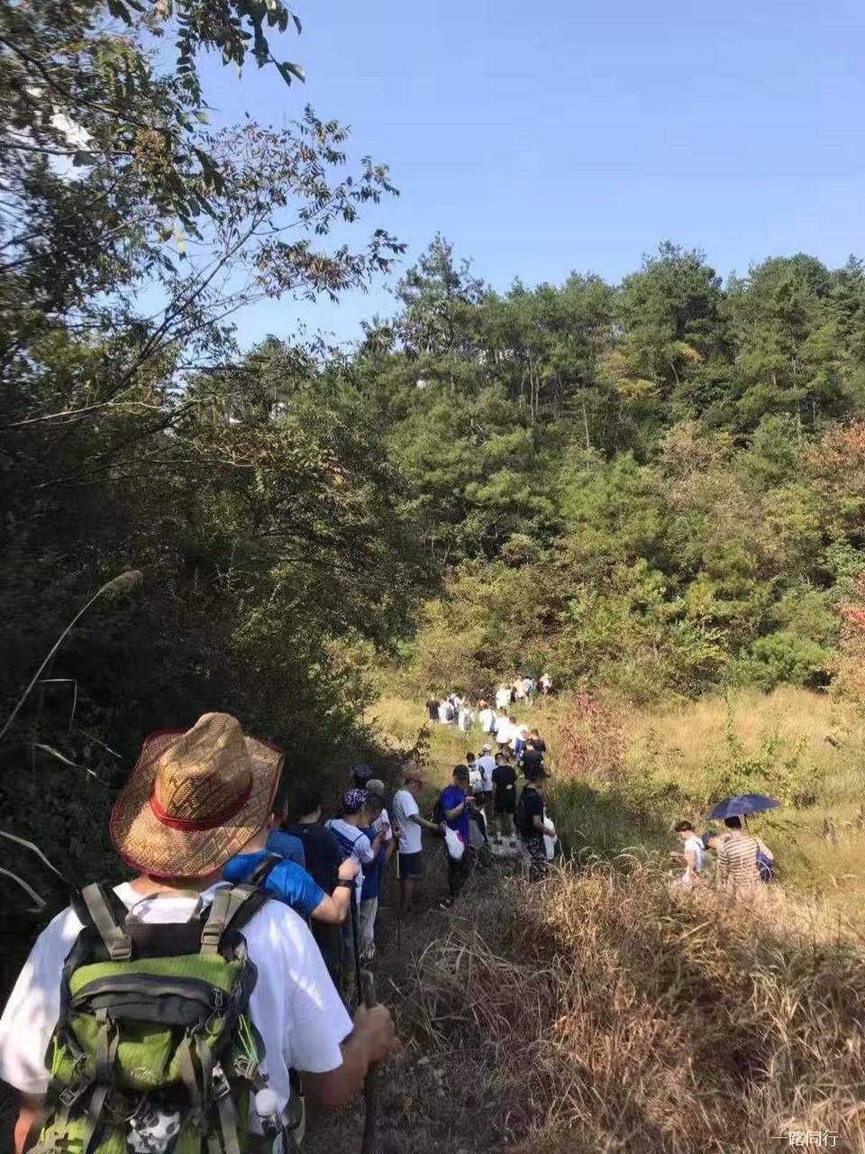 微信图片_20191006214444 - 副本 (2)_副本