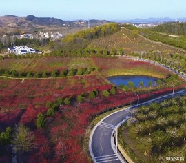 微信图片_20200115132501