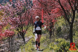 mmexport1618045240076