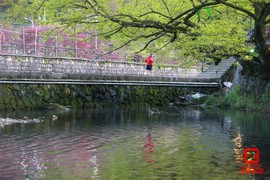 mmexport1618042752013