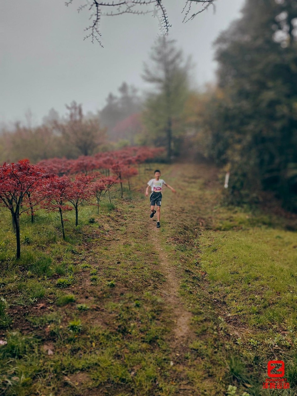 E930554A-88D6-4F2C-887E-022F8BF196F8