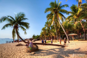 【春节海南岛】邂逅梦幻海南岛 、天涯海角、魅力三亚5天4晚