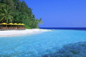 【春节海南】1月24-31号 梦幻海南 美丽邂逅 浪漫天涯 魅力三亚 8天7晚