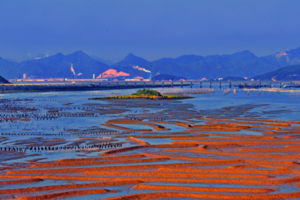 【春节霞浦】1.27-30号 中国最美滩涂霞浦 闾峡 俞山岛 杨家溪 北岐东壁 摄影4日游