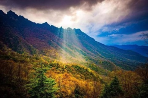 动车往返，秋摄神农架全景深度3日游，10月21-28日天天发团