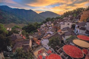 10月26-27日篁岭晒秋2日游特价168元/人