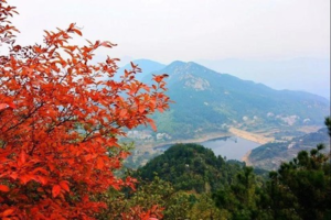 【周日-徒步采摘】10.20 罗田打柿子+罗汉山徒步+品特色吊锅菜