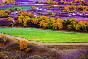 【国庆D线-乌兰布统，武汉大巴团】9月30日晚-10月8日乌兰布统大草原-五彩山斑斓秋色-喂梅花鹿-金秋牧场9日游