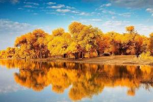 金秋额济纳，邂逅胡杨林6日游，当地集散