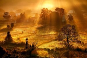 【徽州觅秋】11月14-16日篁岭晒秋+卢村+塔川秋色+文艺碧山村+宏村3日行