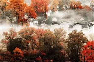 【婺源赏秋】11.21-11.22 轻装徒步行摄 婺源长溪-石城-瑶里古镇 赏醉美红叶古村  2日游