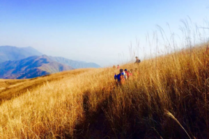 【国庆-爬山】10月7日徒步湖北小武功山之称的高山草甸 -- 大冶父子山