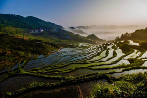 【周日·户外休闲】4.13 醉了！醉了！探寻最美乡村雾云山梯田 1日游