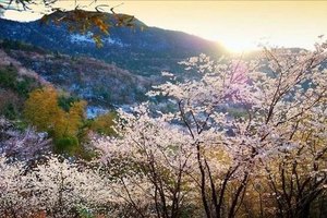 【户外登山】3月26日（周日）登老虎岩 爬好汉坡