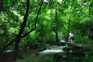 【亲子1日】6月22日大手牵小手，大冶大泉沟徒步|溯溪抓螃蟹|清凉避暑！