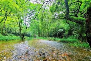 【休闲溯溪】6月2日赤壁小九寨玩水溯溪摸鱼捉虾