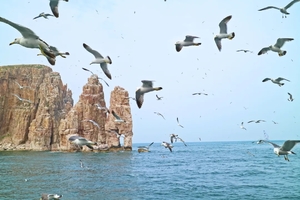 【暑期-海岛】7月5-9日“长岛”中国的马尔代夫、度假天堂, 寻找属于自己的碧海蓝天双飞 5日游