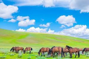 【错峰出行-内蒙古】8月20-25日草原、火山、沙漠休闲6日