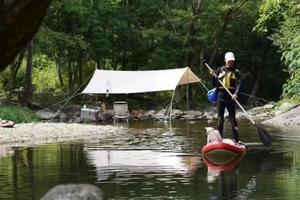 8月5-6日神农天池『迷幻森林』●潮流烟火电音节，相约神农架大巴二日游