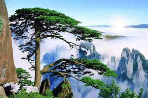 12月5-7日爬黄山、赏水墨宏村、西溪南漫步3日游