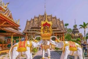 【西双版纳】12月1-6日走进奇幻雨林解锁“象”往的生活尽享“小泰国”异域风情6日游