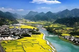 【梯田花海】3月22晚-24日漫步新安江，观石潭油菜花，访屯溪老街品美食休闲3日游