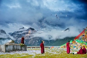 【九色甘南-高铁或飞机版】2024年7月7-12日甘加秘境 八角城 扎尕那 桑科草原 郎木寺6天5晚 6