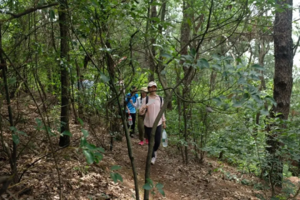 【嵩阳山徒步祈福特价99元】1月5日 冬日野趣，问道嵩阳寺，徒步穿越嵩阳山